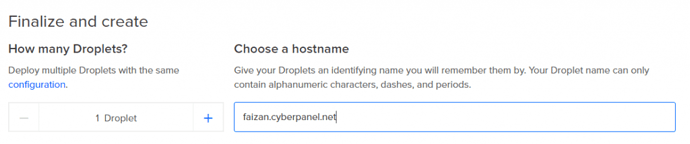 Choose a hostname in Finalize and create setting (Digital Ocean)