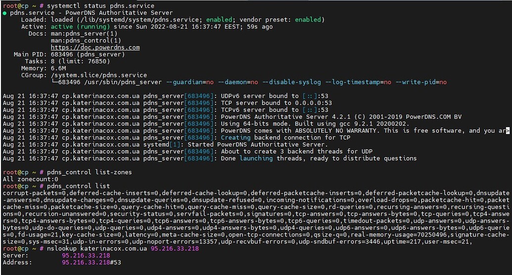 powerdns-running-successfully-but-dns-not-working-how-to-identify-problem-from-terminal-dns