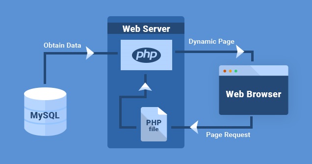 WordPress Website Flow